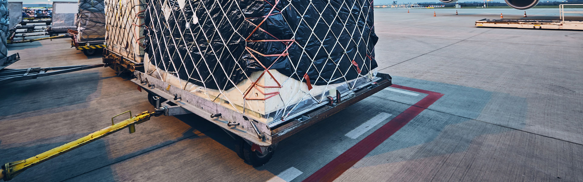 Airport Dolly